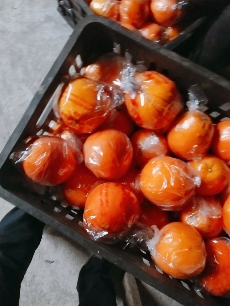 湖南湘西纽荷尔脐橙，包袋果，表皮细腻颜色红，口感甜无麻点