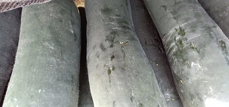 冬瓜