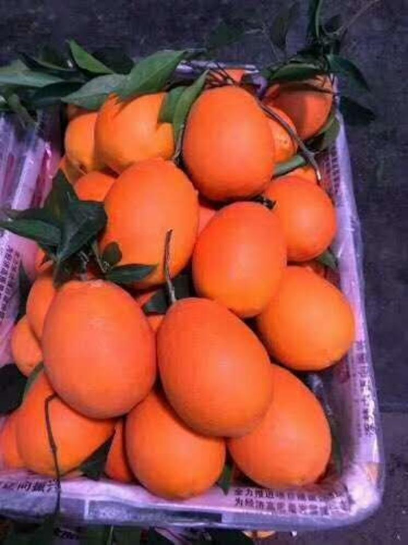 秭归脐橙果园装货，品种齐全，品质优良。口感纯甜，货源充足