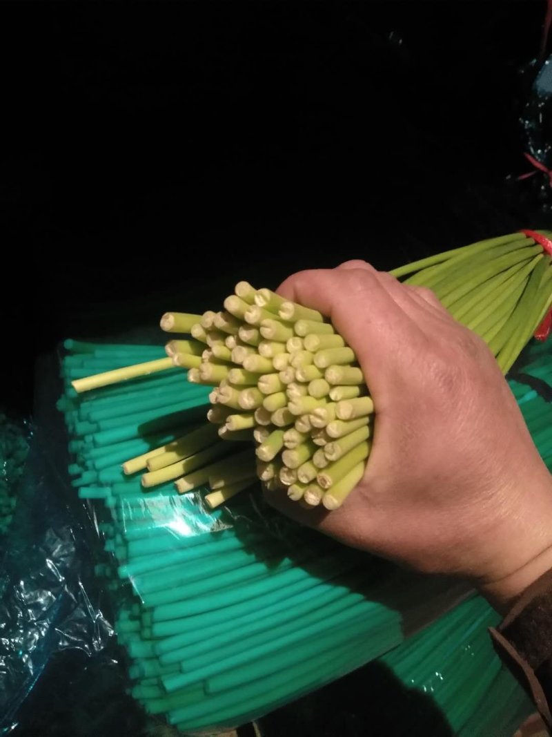 红帽蒜薹～冷库红帽蒜苔～产地直供～代发全国各地