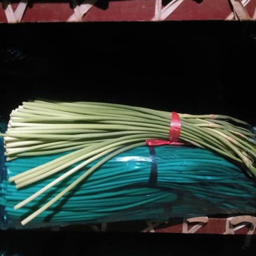 红帽蒜薹～冷库红帽蒜苔～产地直供～代发全国各地
