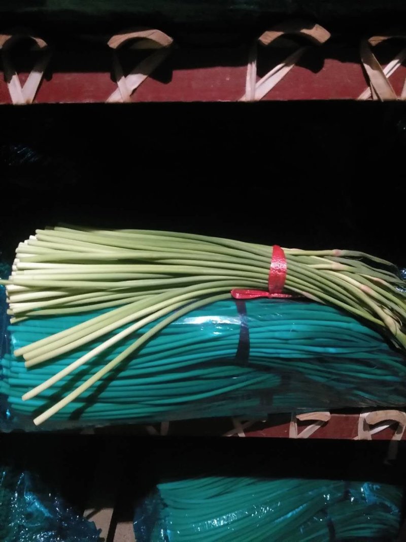 红帽蒜薹～冷库红帽蒜苔～产地直供～代发全国各地