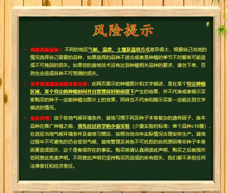 【包邮】长茄550绿萼长茄硬度高味道鲜美颜色亮