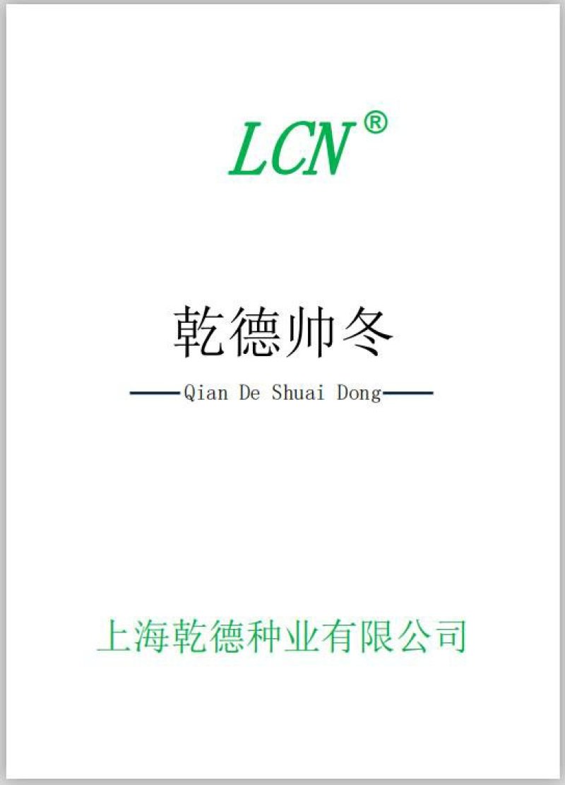 【包邮】乾德帅冬杂交小冬瓜种子春秋茬口栽培