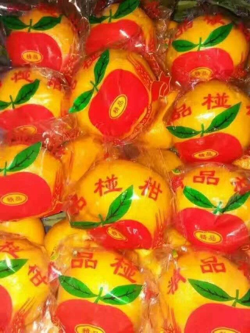 椪柑产地直销批发，货源充足，看货采果，保证质量