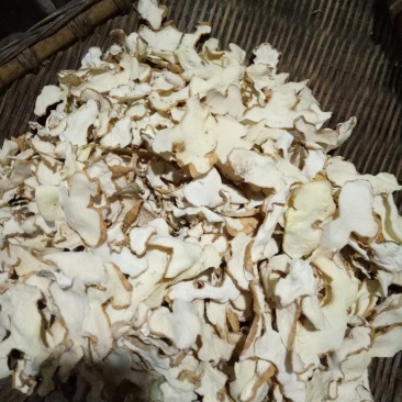 黄精片，野生贵州大黄精，无硫黄精片，全手工切片