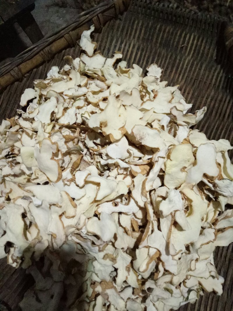 黄精片，野生贵州大黄精，无硫黄精片，全手工切片