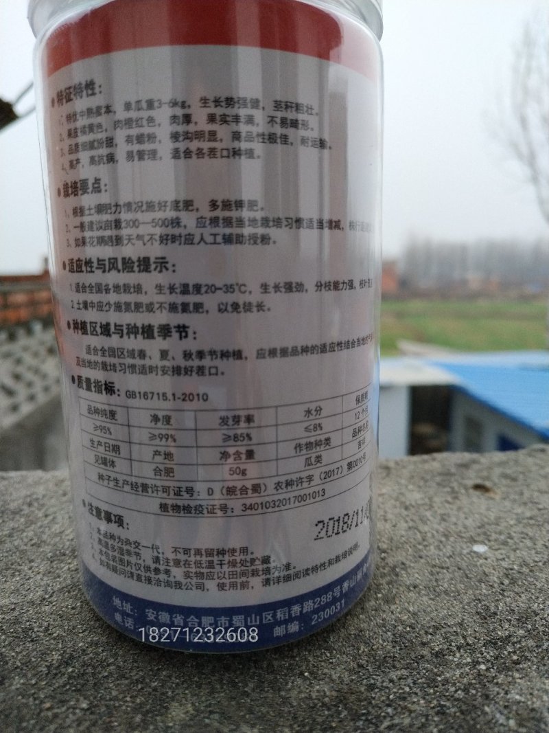 南瓜种