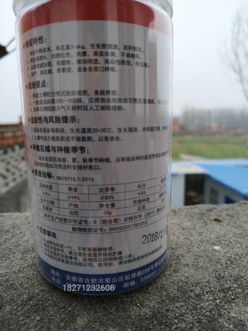 南瓜种
