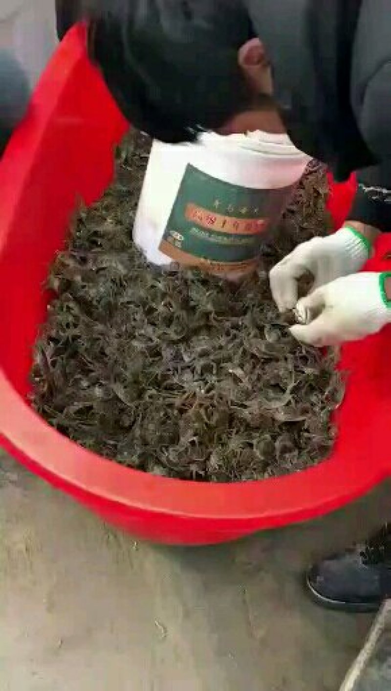 河蟹，大闸蟹，蟹苗，全国统一价，包回收一条龙服务