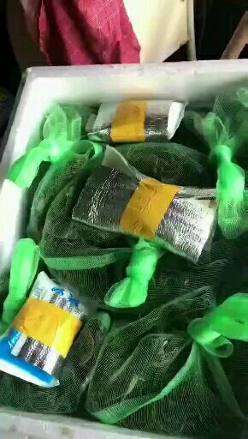 河蟹，大闸蟹，蟹苗，全国统一价，包回收一条龙服务