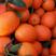 长虹脐橙看园订货，现场采摘，依质论价，果型大颜色红