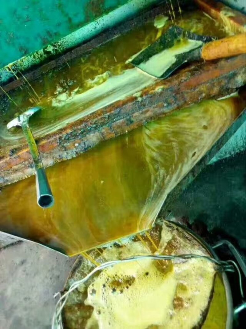 压榨菜籽油三级