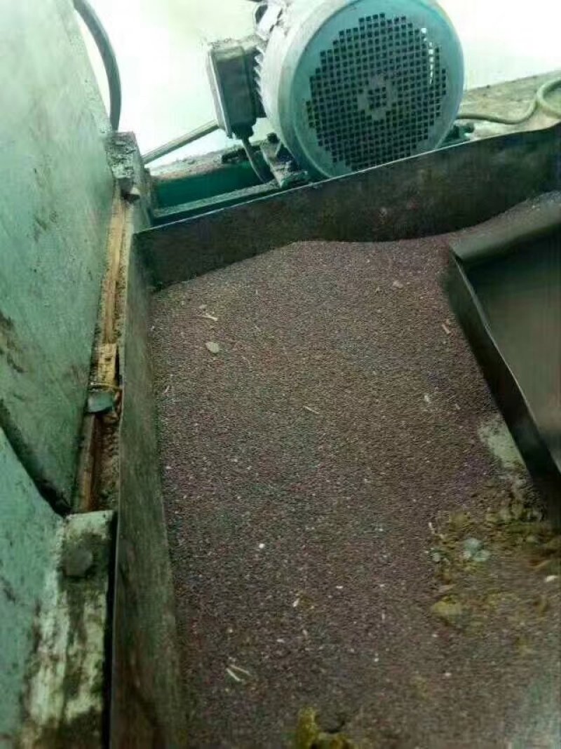 压榨菜籽油三级