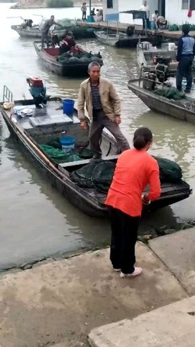 二两公
