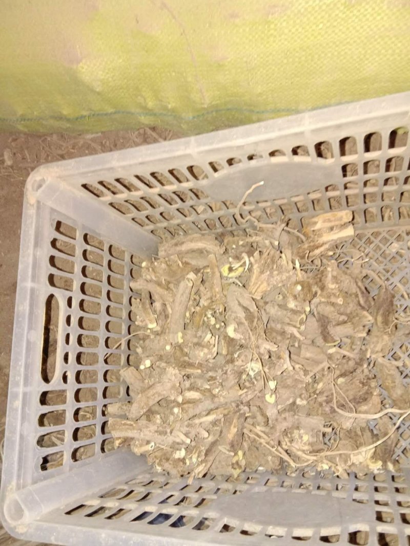 黄芪正品24小时客服支持纯净无杂质