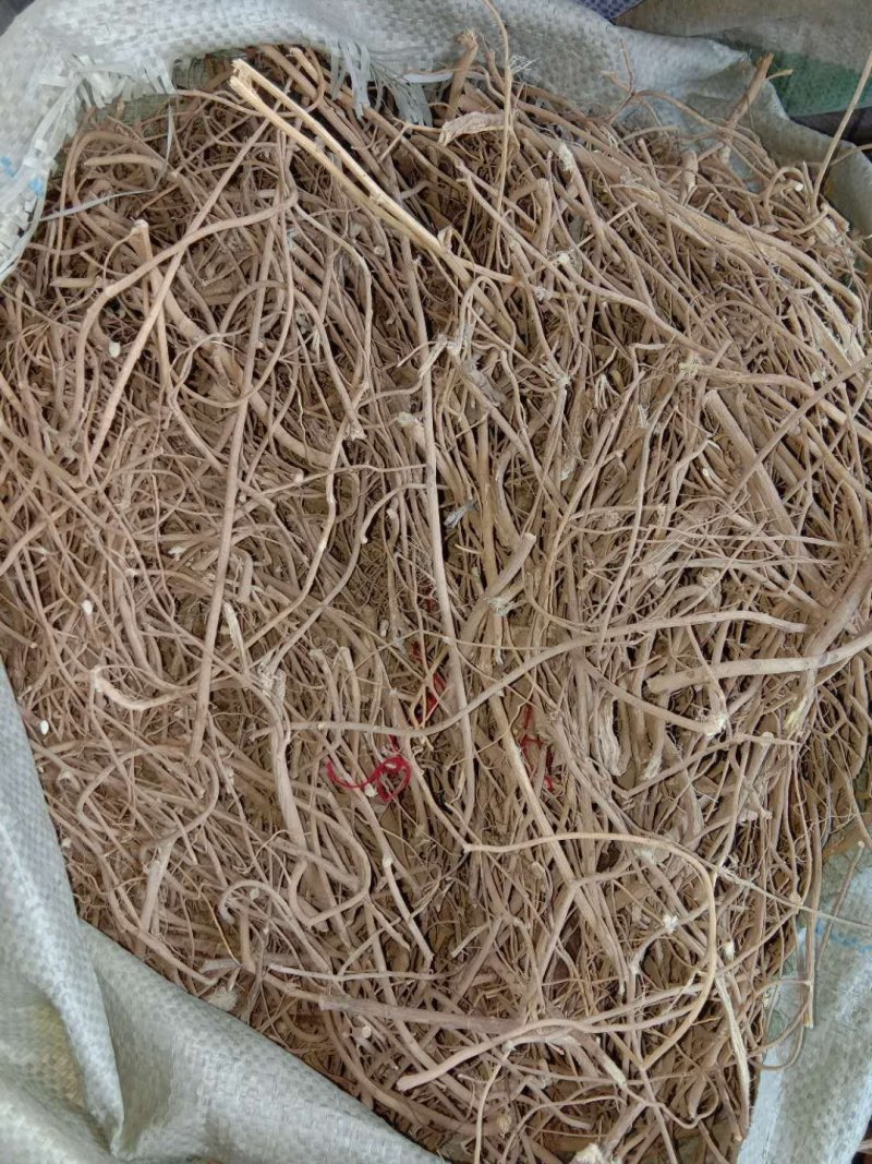 黄芪正品24小时客服支持纯净无杂质