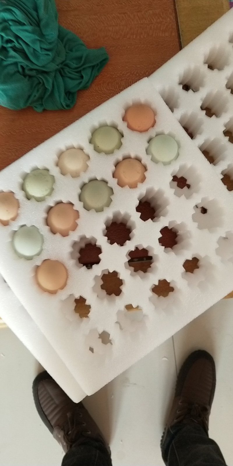 五黑鸡蛋种蛋