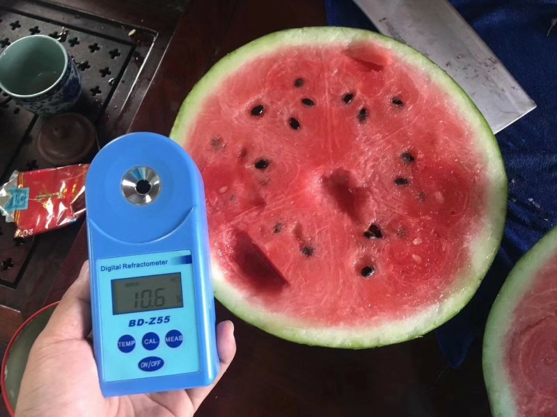 【包邮】乾德新甜糖度高脆甜可口耐裂易储运