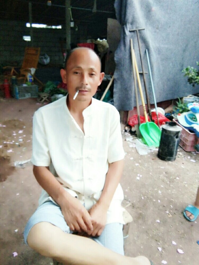 甘蓝，青椒，芸豆，正在上市中，有须要的请联系我
