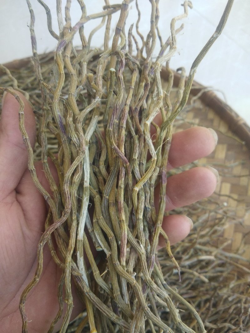 铁皮石斛、干条，寸条，一手货源，货源稳定，批发