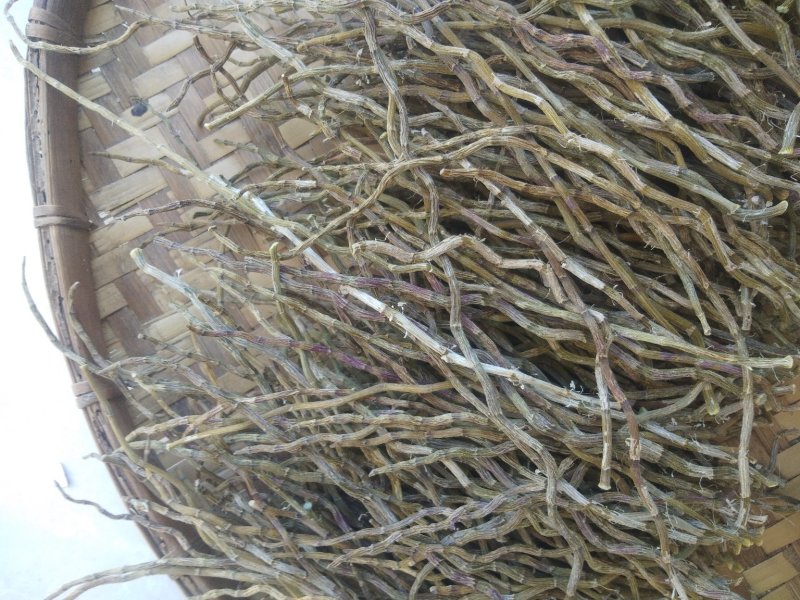 铁皮石斛、干条，寸条，一手货源，货源稳定，批发