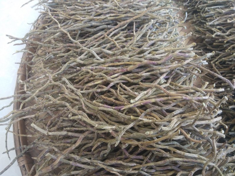 铁皮石斛、干条，寸条，一手货源，货源稳定，批发
