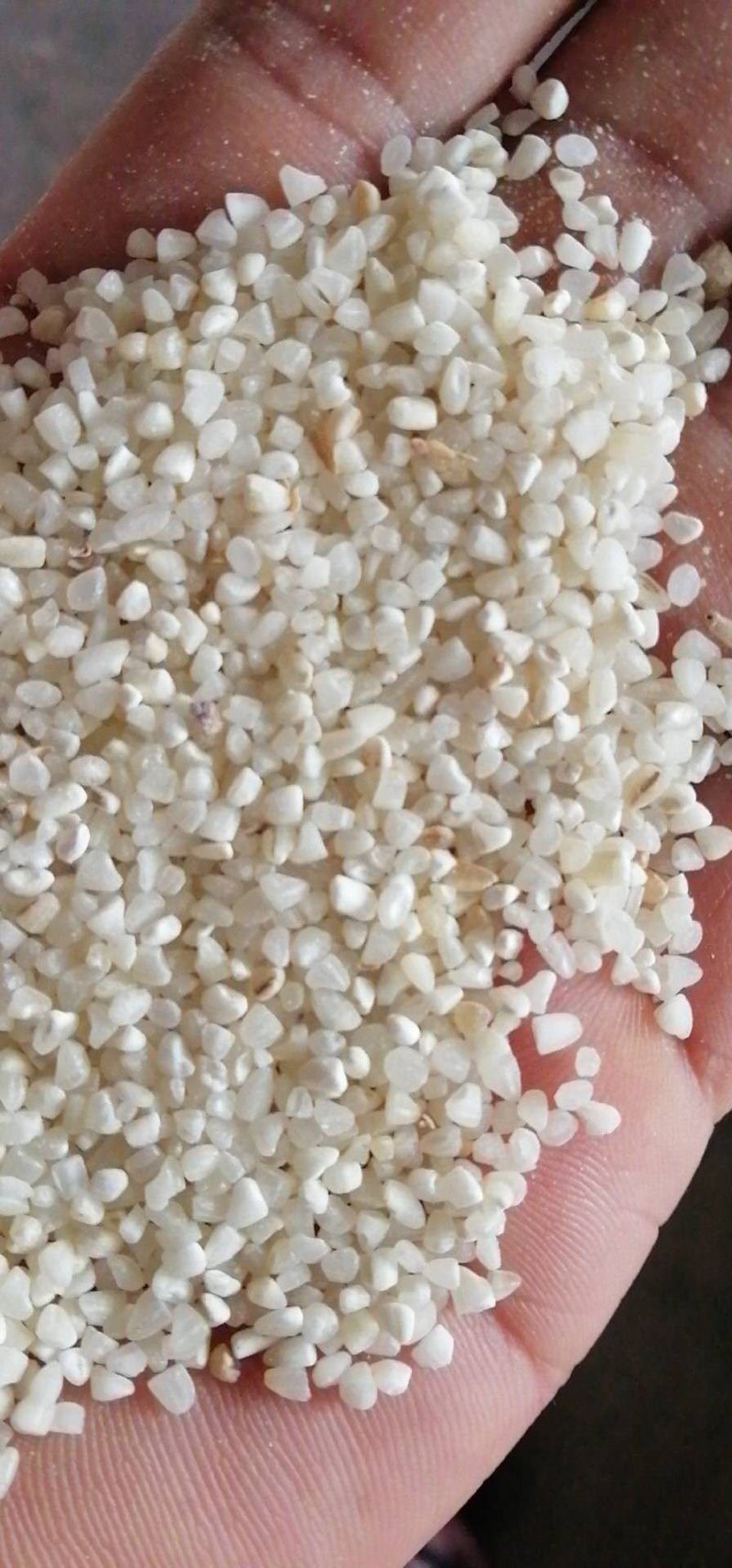 批发碎米