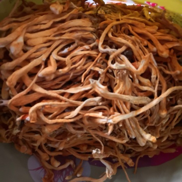 批发虫草花，金虫草