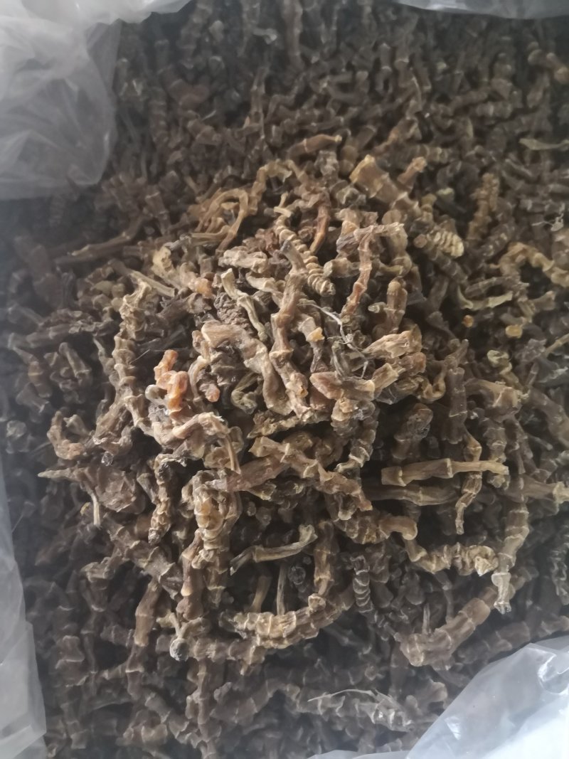 批发虫草参，