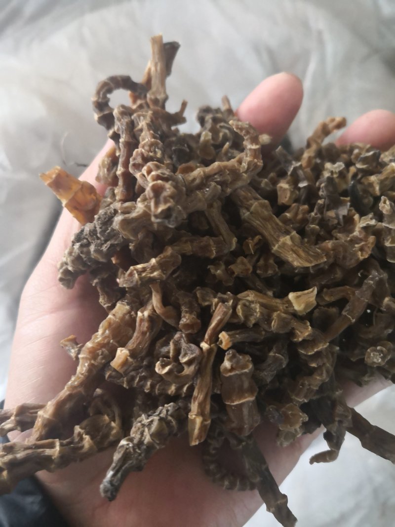 批发虫草参，