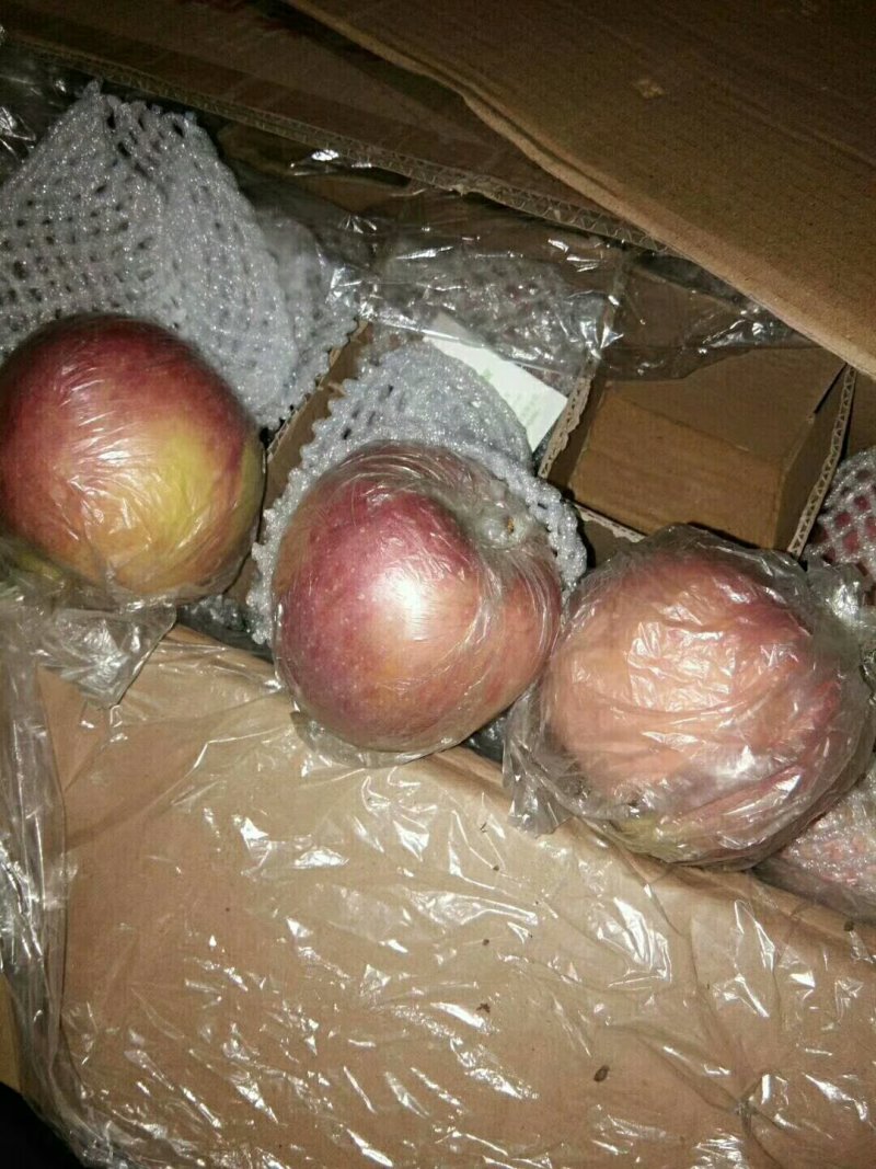 大荔县冷库红富士苹果价格