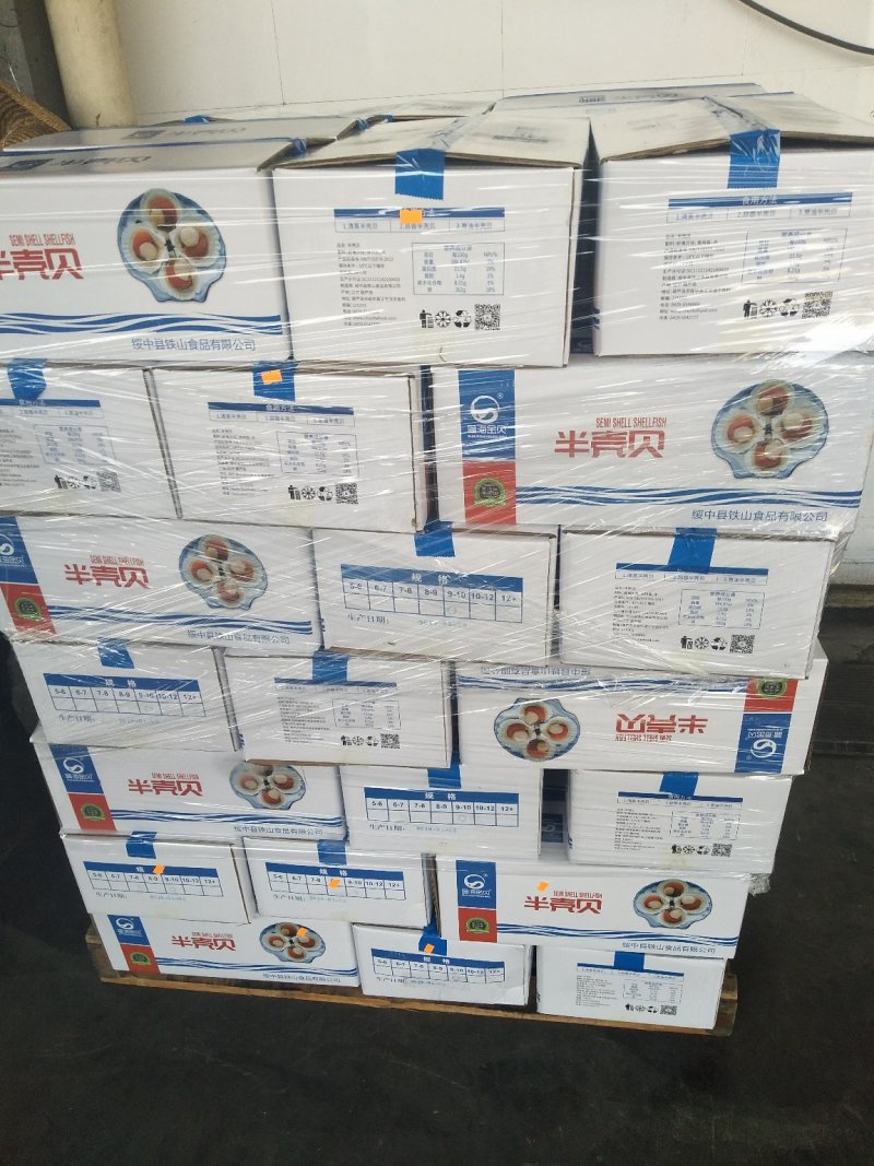 新鲜冷冻虾夷扇贝粉丝扇贝贝柱烧烤清蒸芝士焗食品材料