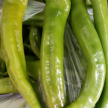 青椒