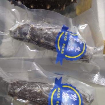 即食海参有嚼劲！口感好！
