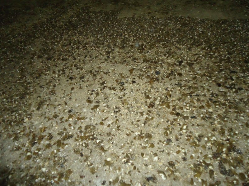 鸡粪