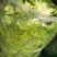 生菜