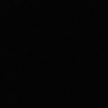 刺槐，毛白杨，臭椿，柳树