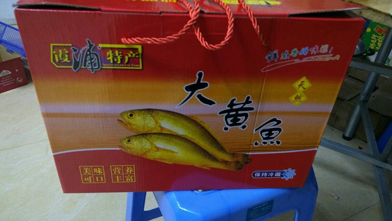黄花鱼干/宁德大黄鱼鱼干/单条真空包装/