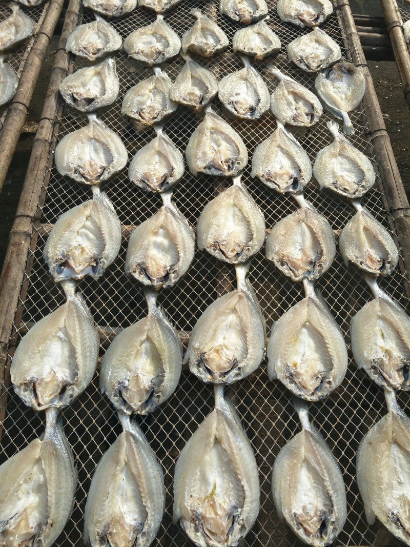 黄花鱼干/宁德大黄鱼鱼干/单条真空包装/