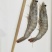 盐冻虾，冰冻虾，50-60,40-50,30-40