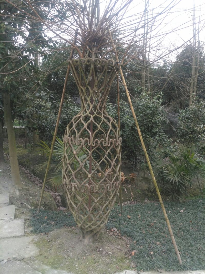紫荆花瓶