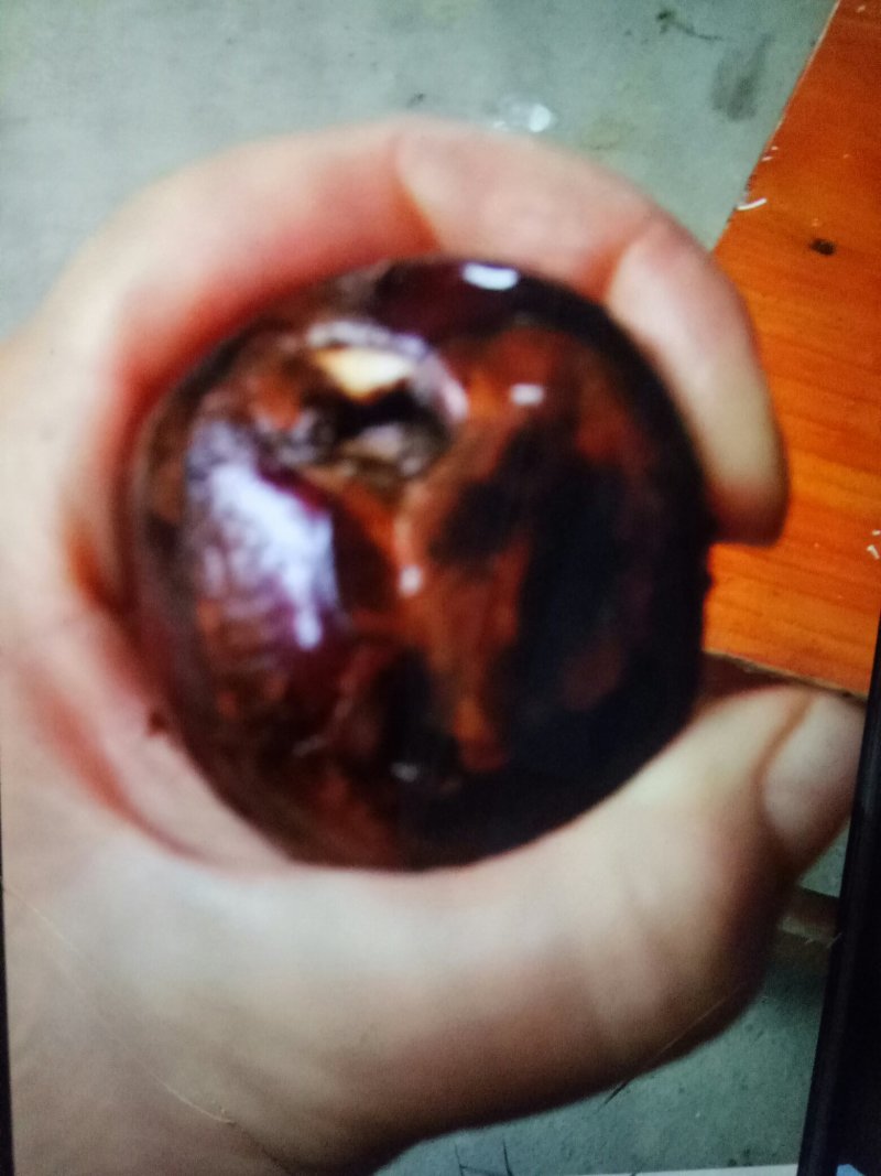(马蹄)热销产区直供货源充足量大从优欢迎定购