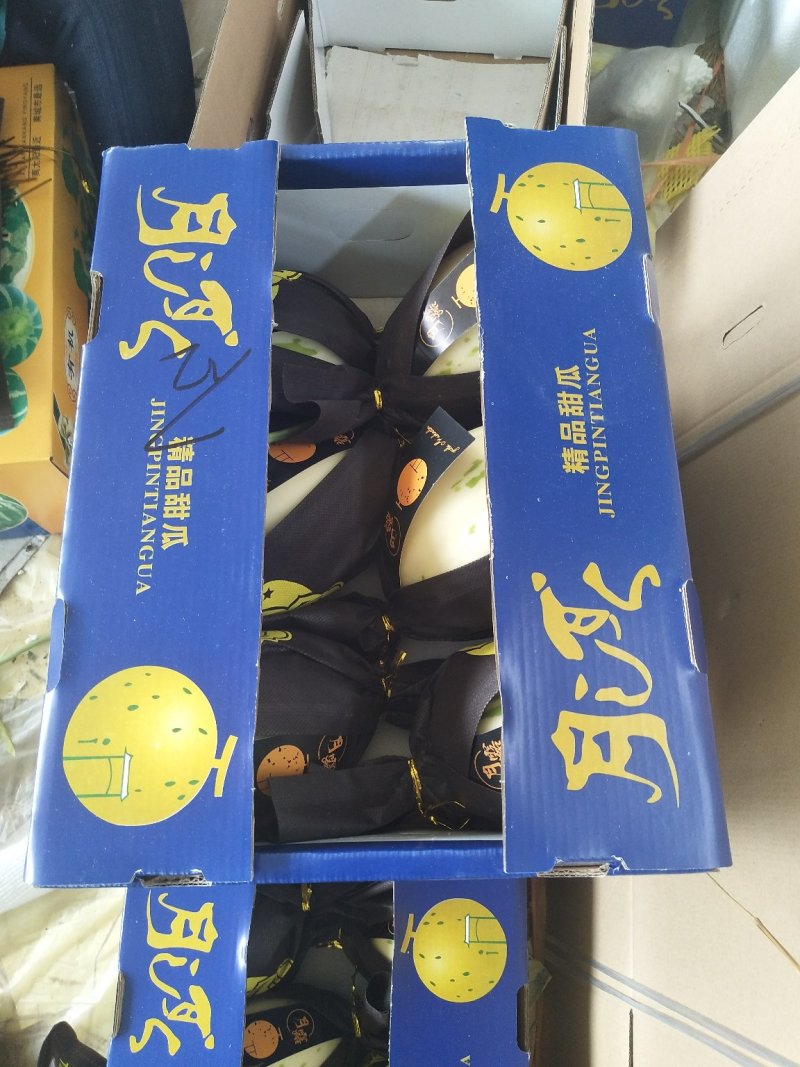 玉菇香瓜，甜瓜，中国甜瓜第一镇产地大量供应