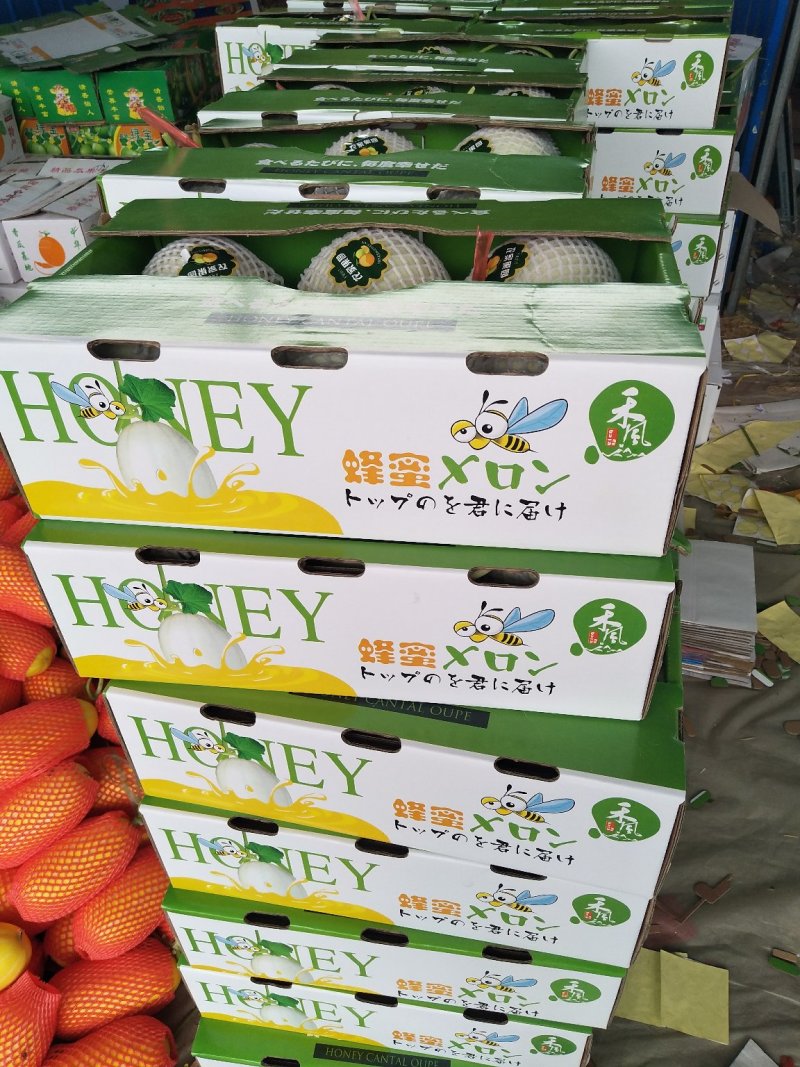 玉菇香瓜，甜瓜，中国甜瓜第一镇产地大量供应