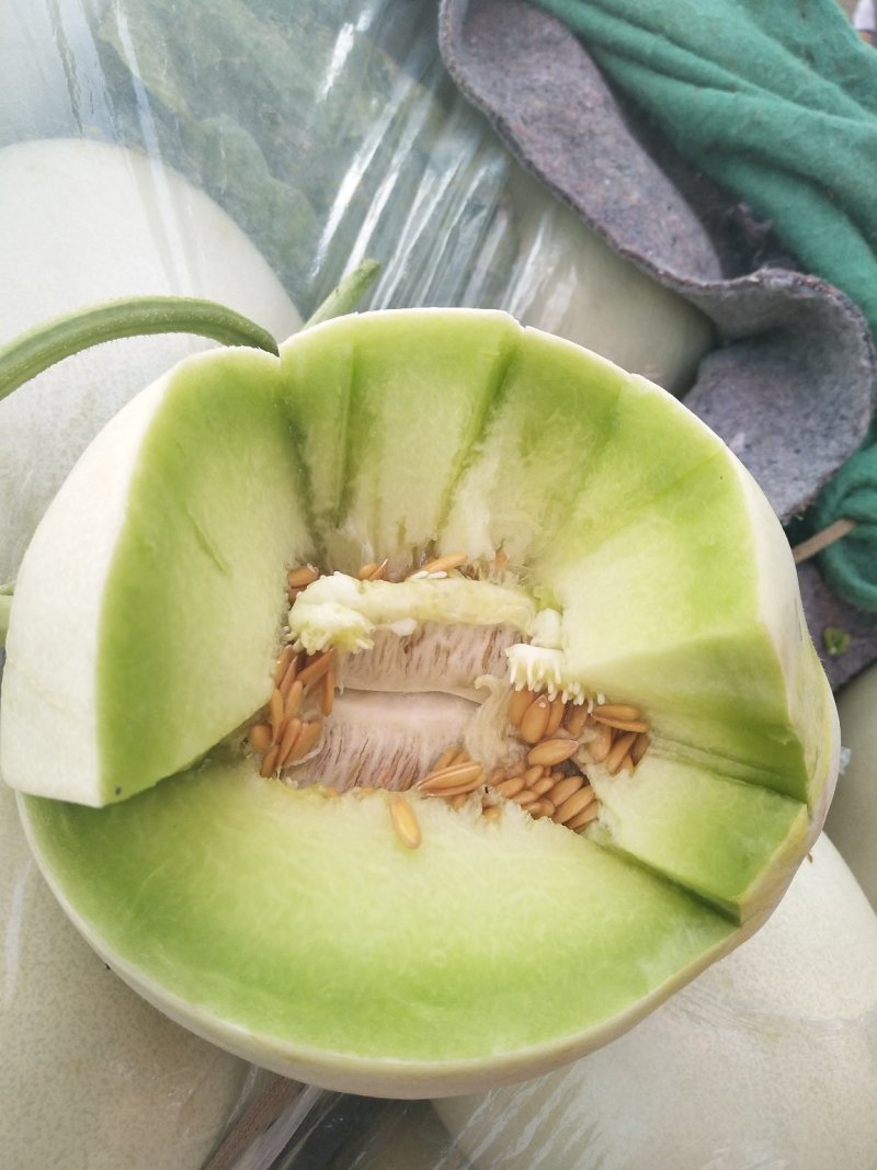 玉菇香瓜，甜瓜，中国甜瓜第一镇产地大量供应