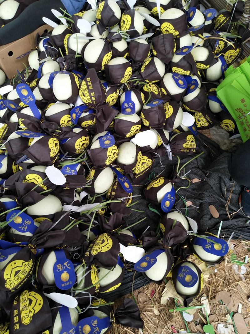 玉菇香瓜，甜瓜，中国甜瓜第一镇产地大量供应