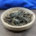石楠藤毛药爬岩香中药材