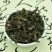 毛麝香麝香草五凉草饼草酒子草中药材