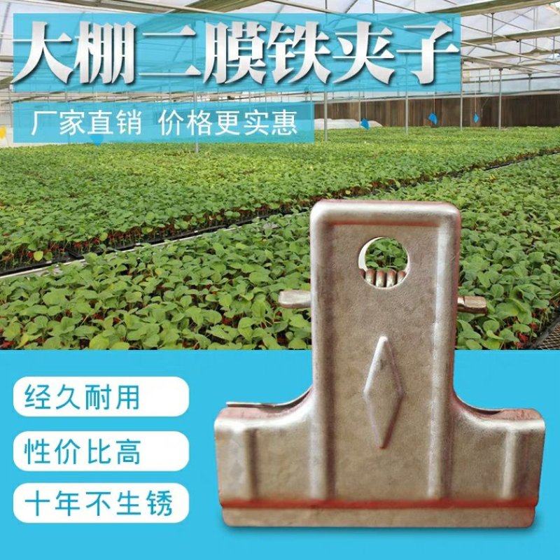大棚二膜铁夹子固定塑料布热镀锌吊蔓秧铁夹子